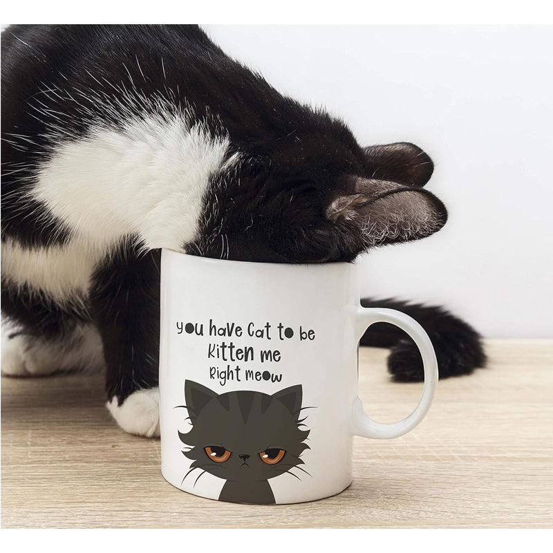 Funny Novelty Coffee Mug For Men And Women You Have Cat To Be Kitten Funny Cat Lovers Coffee And Tea Cup 325ml